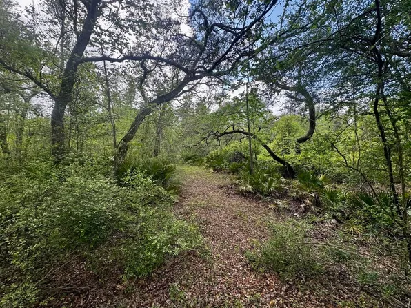 3084 NE Chervil Dr, Lee, FL 32059