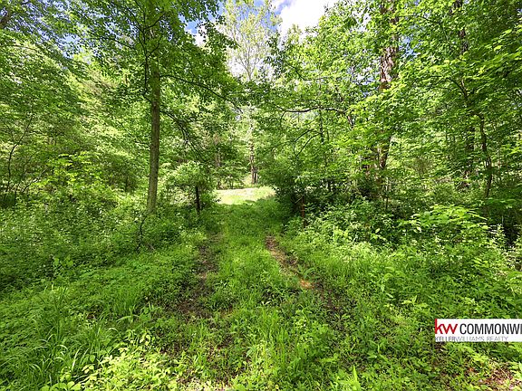 4th image of 9999 Long Branch Rd