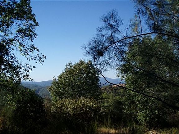 3rd image of 14355 Holland Dr