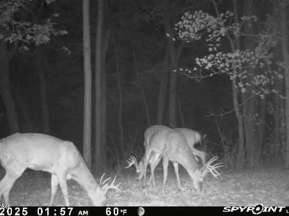 3224-1 Goose Cir, Sanders, KY 41083