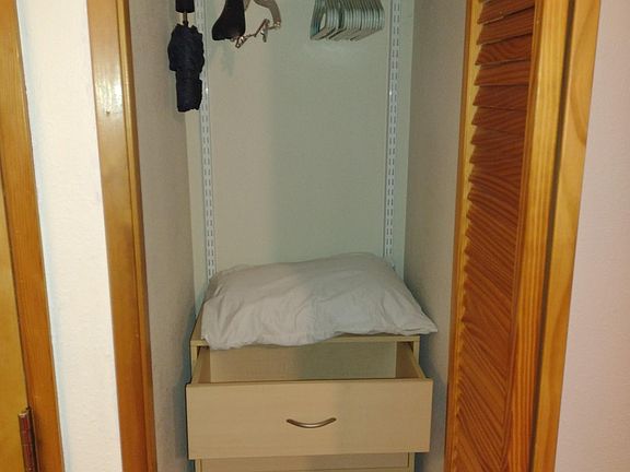 closet comes with this built in