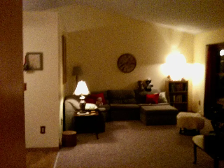 1493 Wood Duck Rd — Photo 2