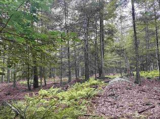 Ricci Rd, Accord, NY 12404