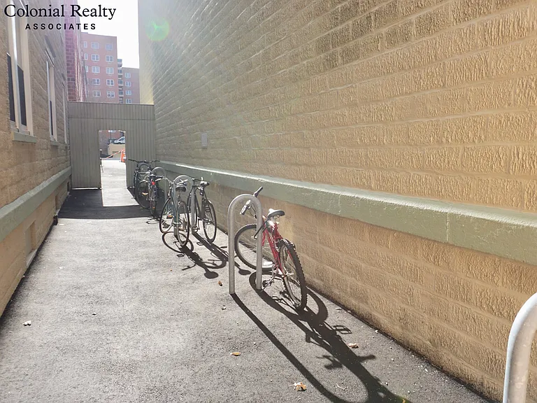 74 Egmont St #6 — Photo 28
