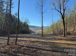 9999 Plum Tree Holler Dr, Hot Springs, NC 28743