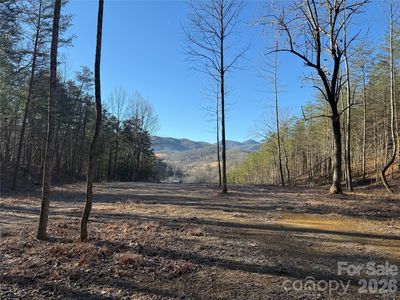 9999 Plum Tree Holler Dr, Hot Springs, NC, 28743