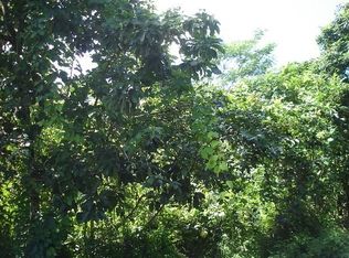 Mahimahi St LOT 12, Pahoa, HI 96778