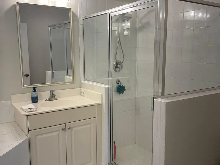 Master bath shower