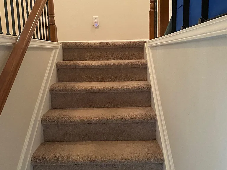 115 Finchley Dr — Photo 18