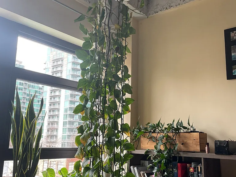 Current tenants have called this home for five years