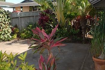 A look at some of the landscaping.