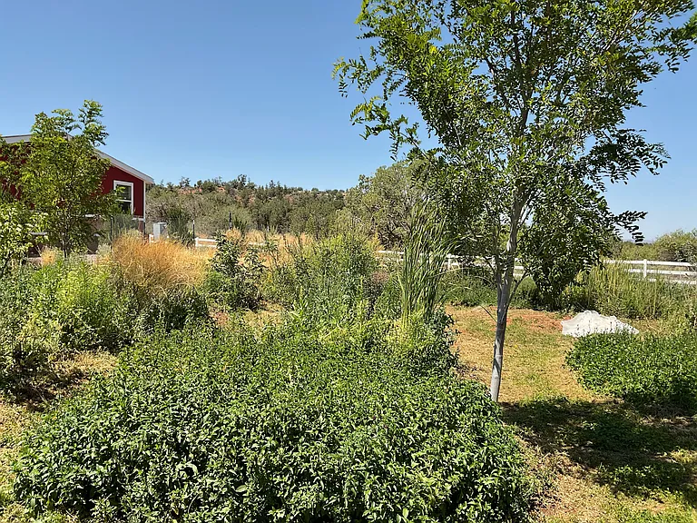 75 Destiny Rd — Photo 8