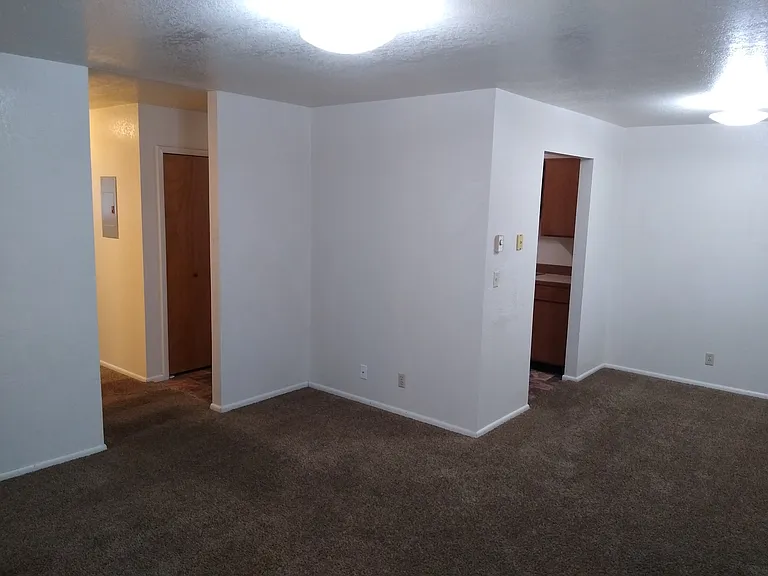 117 S 100 W — Photo 6