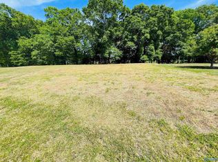 124 Mitchem Ln, Albertville, AL 35951