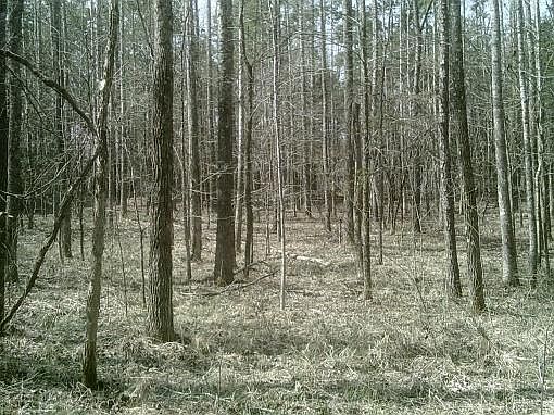 3rd image of Rainey Ln