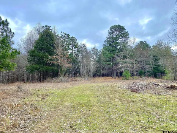 Acr 153, Palestine, TX 75801