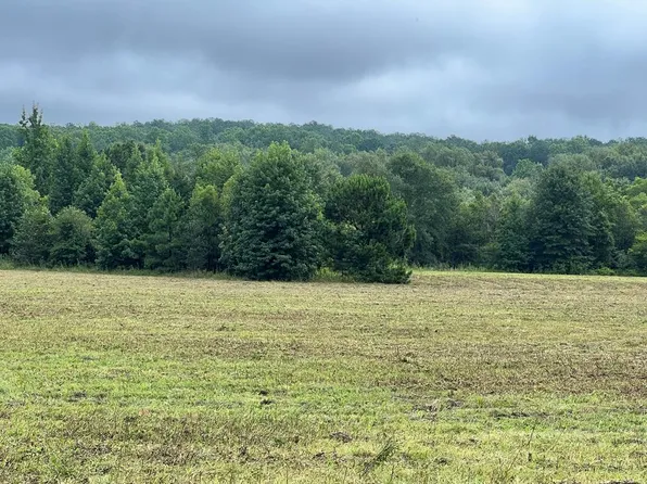 0 County Road 6624, Banks, AL 36005