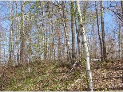 SW Southwest Thunderpoint Rd, Hayward, WI, 54843