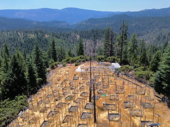 490 Sand Ridge Ct, Hayfork, CA 96041