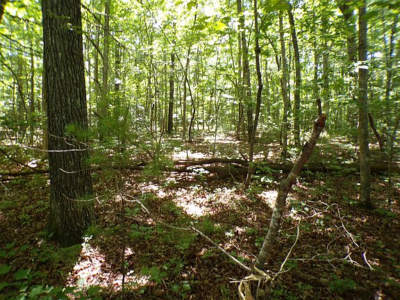 4th image of 0 Brown Creek Dr #194