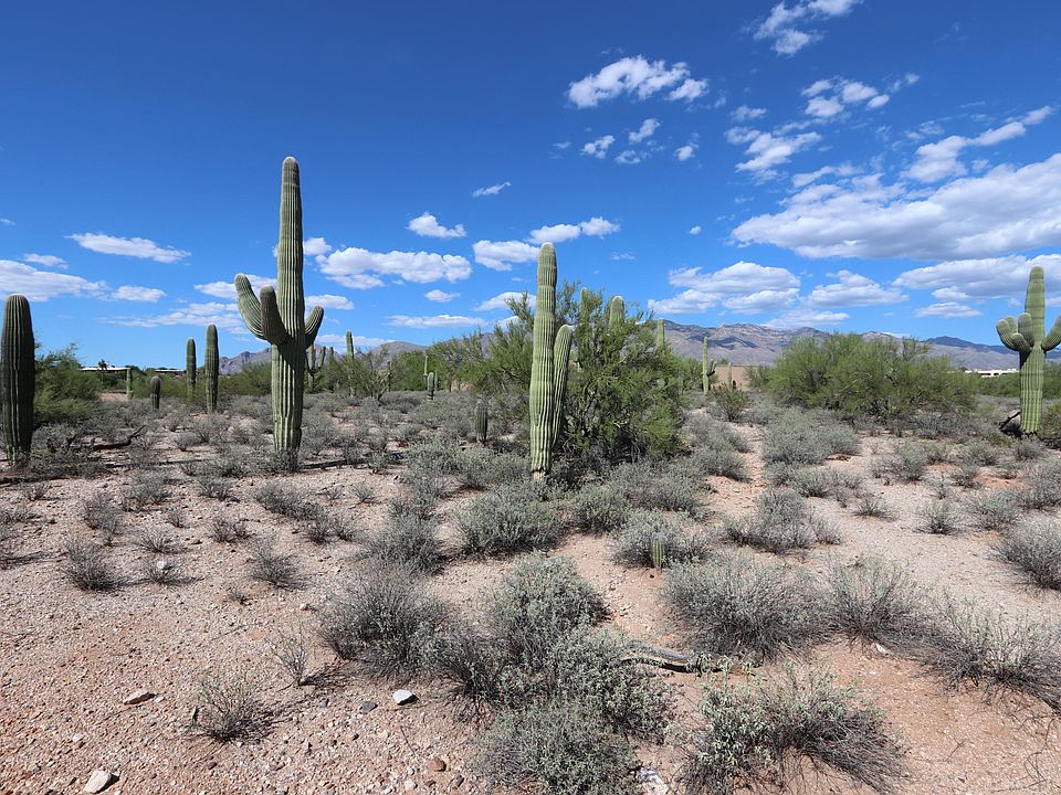 1st image of 4316 N Placita Del Rodal
