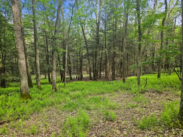 0 Camp Rd, Clearfield, PA 16830