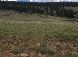 460 Redhill Rd, Fairplay, CO 80440