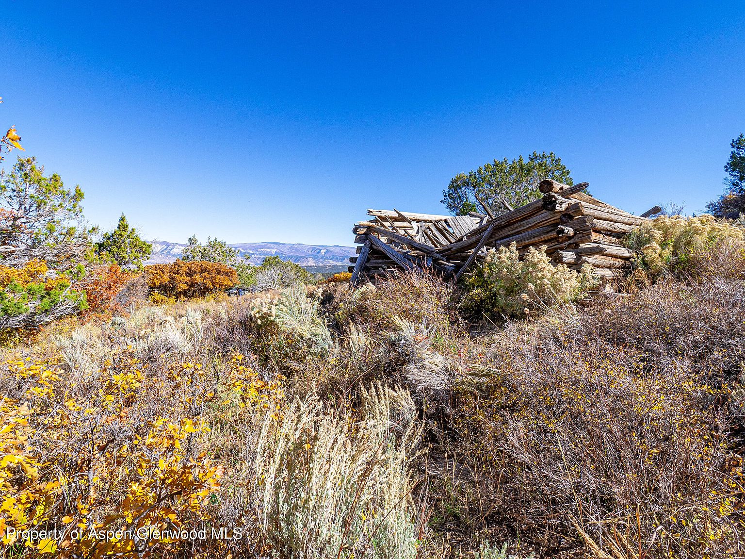 52-5-10-road-collbran-co-81624-zillow