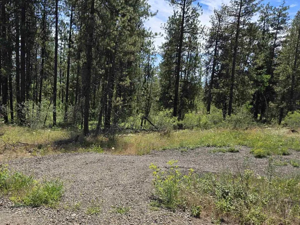 13711 W Farwell Rd, Nine Mile Falls, WA 99026