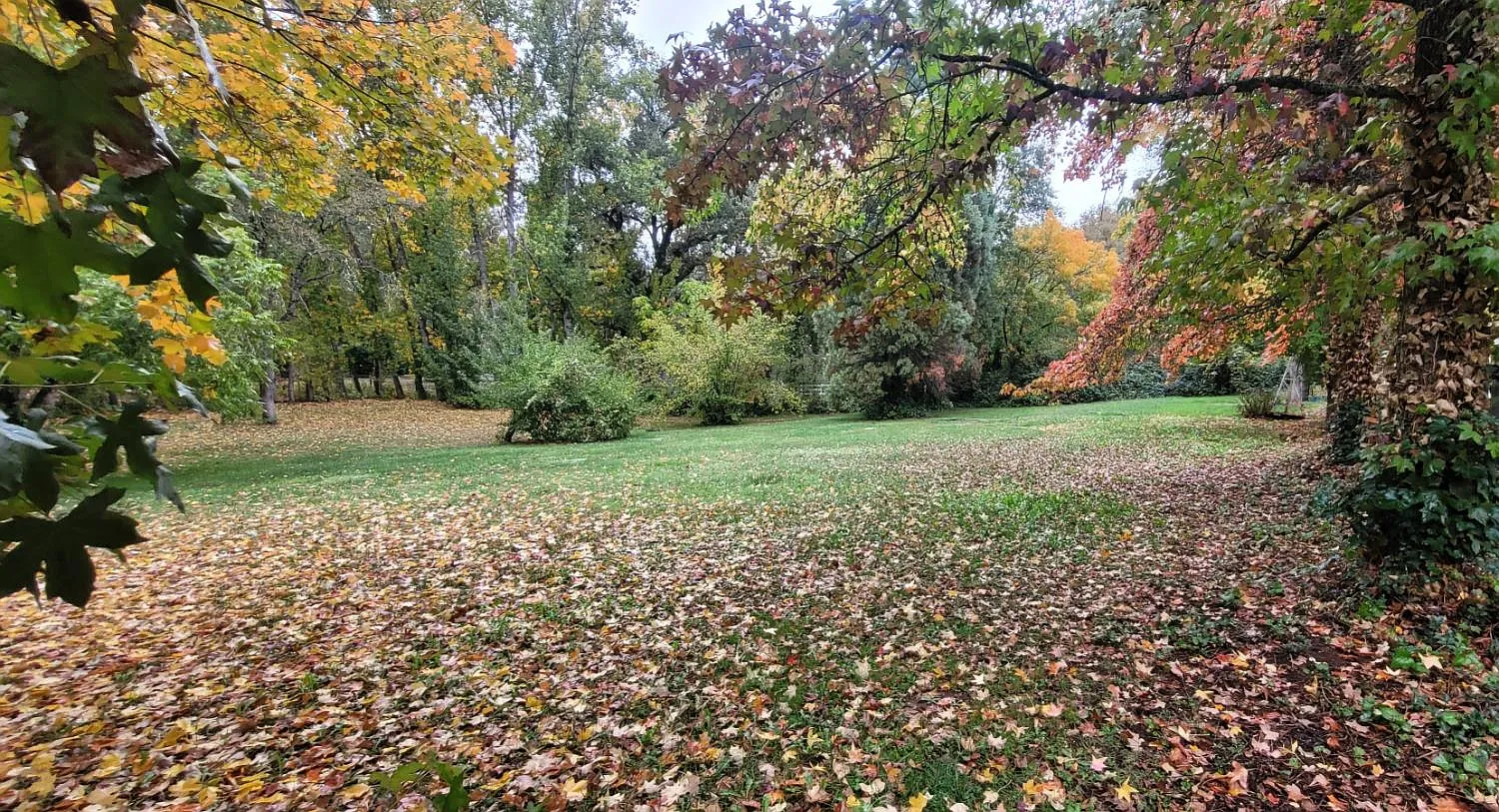 10077 Bar Hill Rd photo 1