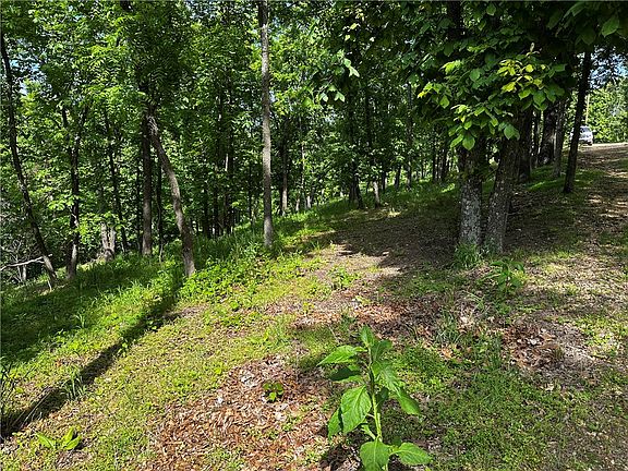 3rd image of LOT 100 E Robin Rd