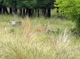 LOT 237 Vista Pointe Dr, Chico, TX 76431