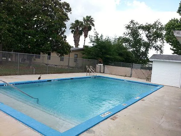 36116 Begonia Ave — Photo 14