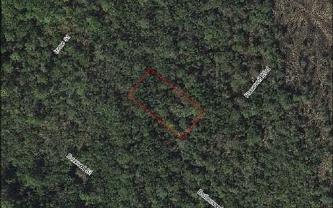 1st image of 804 Roosevelt Blvd