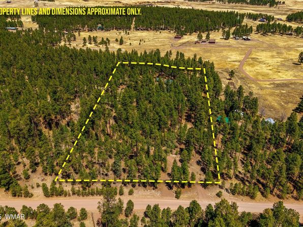 61 County Road 2266, Alpine, AZ 85920