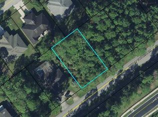 77 Bird Of Paradise Dr, Palm Coast, FL 32137