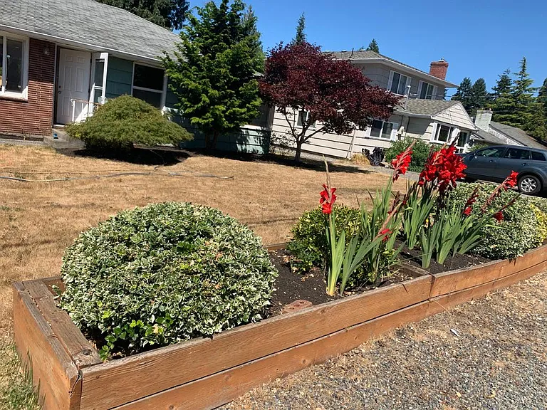 Front yard and raised beds maintained by gardener twice per month (included in rent)