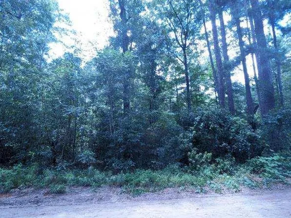 161 Clubhouse Dr, Midway, GA 31320