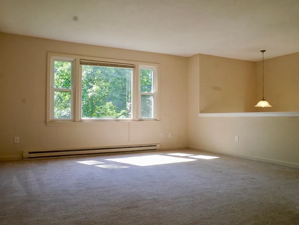 4 bed, 1128 sqft, $3,700 — Photo 3