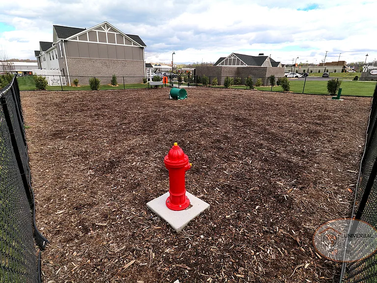Bark Park