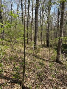 0 Metcalf Rd, Iuka, IL, 62849