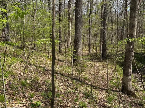 0 Metcalf Rd, Iuka, IL 62849