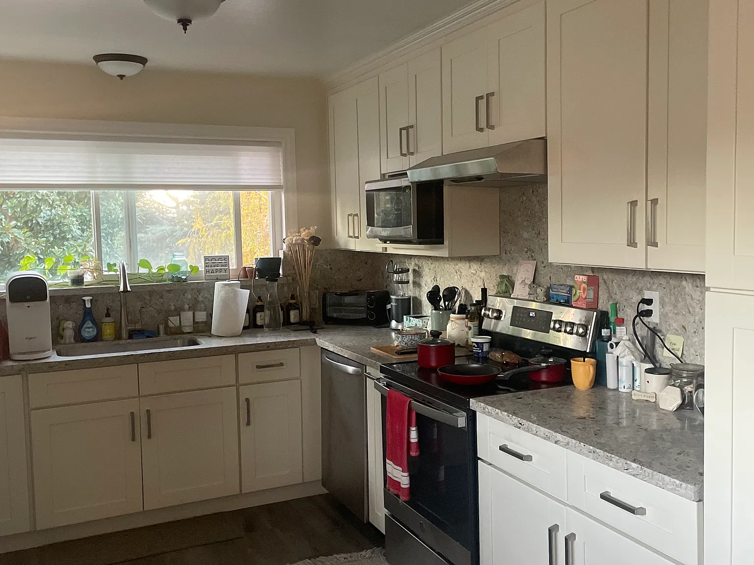 2 bed, 950 sqft, $3,300 — Photo 4