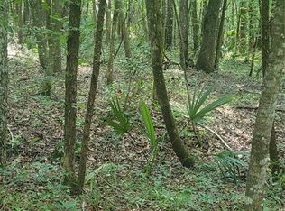 LOT 69 SE 41st Ter LOT 69, Belleview, FL 34420