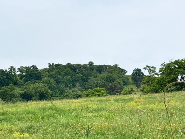 TRACT 14 Buffalo Springs Rd, Rutledge, TN 37861