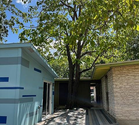 Back patio with fantastic shade and blue storage shed (tenant gets to use half of storage shed, shared with landlord)