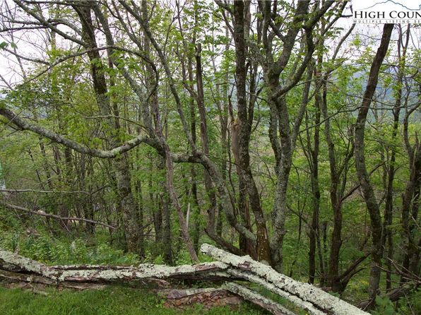 27 Fox Run Road, Banner Elk, NC 28604