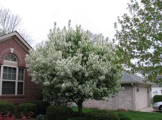 10308 Packard Dr, Fishers, IN 46037