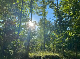Brushy Ridge Rd, Williamsburg, WV 24991