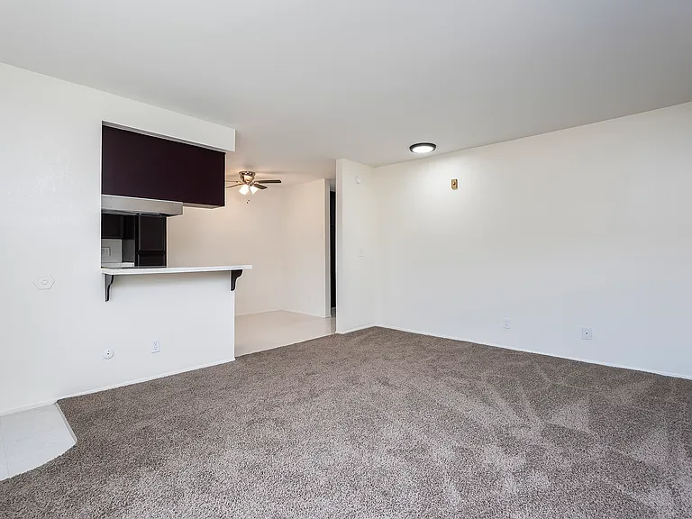 347 Roosevelt St #4A — Photo 13